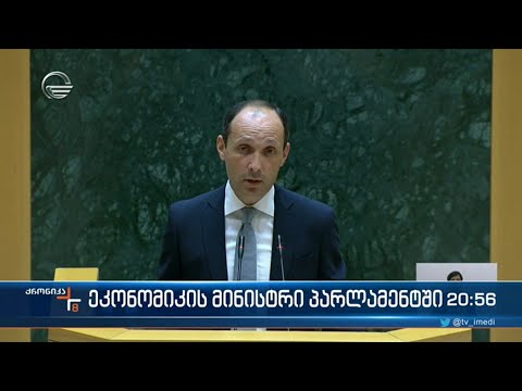 პარლამენტში ეკონომიკისა და მდგრადი განვითარების მინისტრს მოუსმინეს
