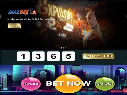 Получите бонусные коды для онлайн-игры в казино для России – Cat Casino