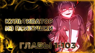 видео: Культиватор из психушки. Озвучка манги. Главы 1-103 картинка: Культиватор из психушки. Озвучка манги. Главы 1-103