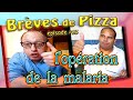 Brves de pizza 83 lopration de la malaria