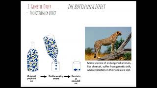 Details L2 2 BIO 182 Microevolution News