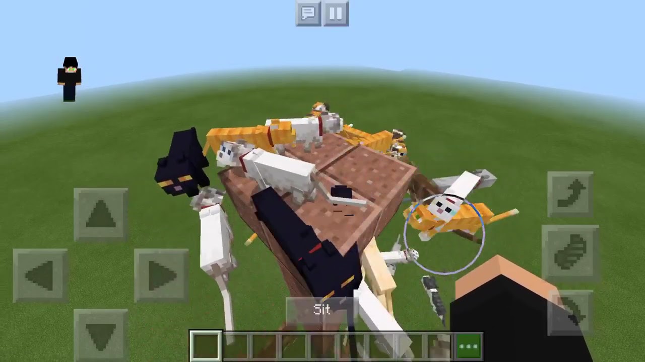 The Ultimate Cat Fountain (Minecraft) YouTube