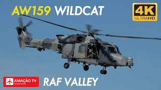 ZZ387 AgustaWestland AW159 Wildcat AH.1, 847 Naval Air Squadron, Royal Navy 🇬🇧