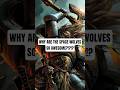 Why are the Space Wolves one of the coolest Chapters in all of Warhammer 40k? #40k #warhammer40k