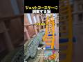 ジェットコースターに興奮する猫