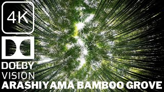 Arashiyama Bamboo Grove 【4K HDR】Walk in Kyoto Arashiyama Bamboo & Kimono Forests(嵐山散歩) - Summer 2023