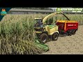 Fake Sugarcane Harvester - Farming Simulator 25 Hutan Pantai gameplay 30