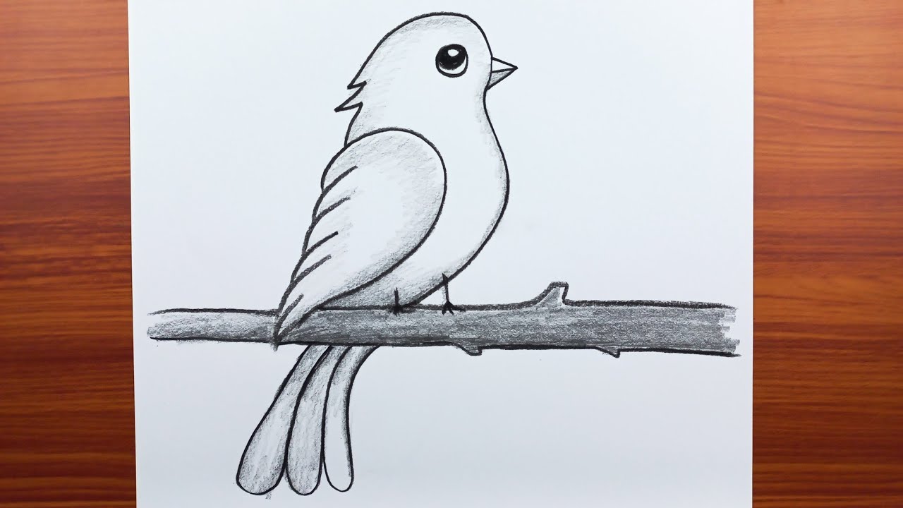 Kolay Kuş Çizimi, Yeni Başlayanlar İçin Kolay Yoldan Kuş Resmi Nasıl Çizilir, Kolay Hayvan Çizimleri
