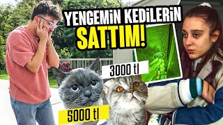 YENGEMİN KEDİLERİNİ SATTIM(KRİZ GEÇİRDİ)