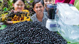 Wow! Making Healthy Smoothie Java Plum Dors Kror Bey Fruit Recipe - Natural Tasty Drink at Village