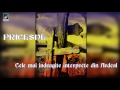 PRICESNE 2021 - La umbra Crucii Tale