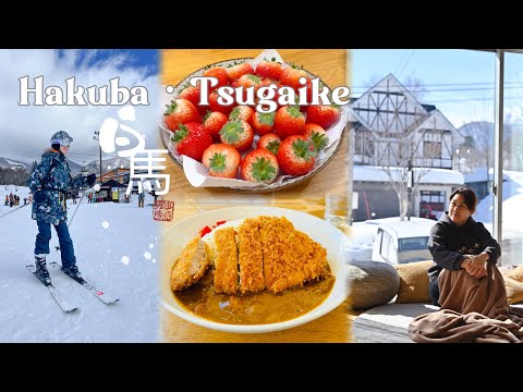 2024 Japan Snow trip ✈️ Rented this amazing SKI IN SKI OUT house!⛷️ 🥃 🇯🇵HAKUBA TSUGAIKE (Part 1)