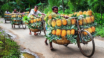 Pineapple Production Processing Factory - Pineapple Juice,Canned Pineapple - How to make Grape syrup
