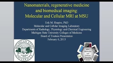 Molecular and Cellular MRI at MSU