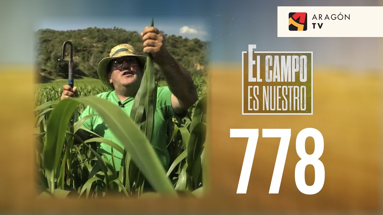Una ducha en el campo y un chísel 'full equipe' EL CAMPO ES NUESTRO CAP 778