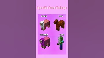 Can You Pause This Video At The Right Time? #shorts #Minecraft #pause