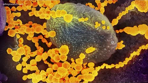 What we know about the Delta variant of COVID-19