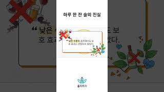 하루 한 잔 술의 진실
