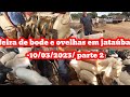 FEIRA DE CAPRINOS E OVINOS EM JATAÚBA PE-10/03/2023/ PARTE2