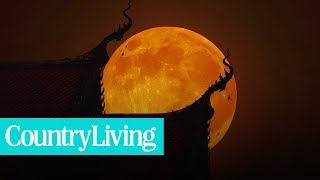 Here’s Why This Year’s Harvest Moon Will Be So Special | Country Living