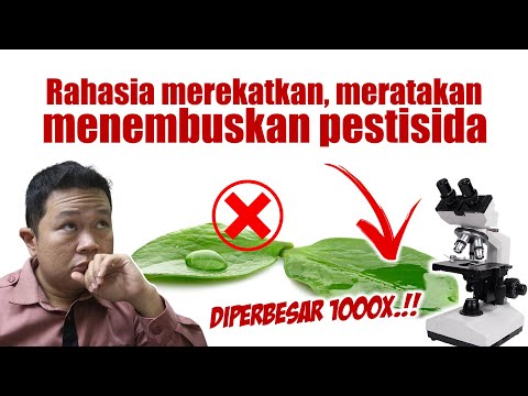Video: Apakah Pestisida Buruk Untuk Celana: Mengobati Kerusakan Insektisida Pada Tanaman