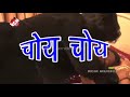 Bhojpuri songs hot hd video. (CHHOTU BHOJPURI Wap.IN )(9)