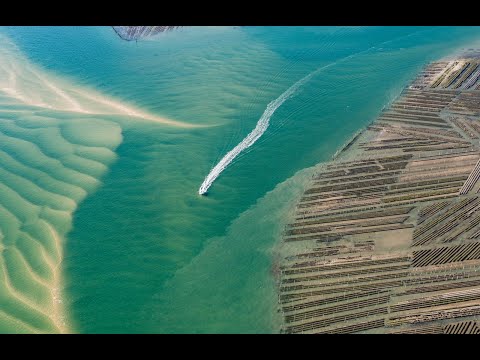 Bassin d'Arcachon : les 5 sites à visiter