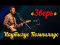 YouTube YouTube