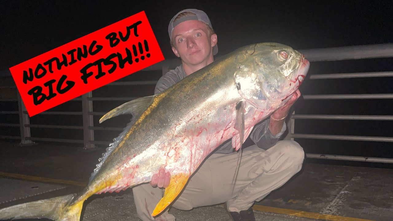 This LURE Is Key For BIG FISH At The INLET | Sebastian Inlet Fishing