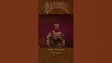 Becoming a Kung-Fu Master in Elder Scrolls II: Daggerfall Pt.5