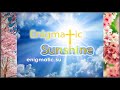 Enigmatic sunshine radio promomix vol 1