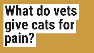 What do vets give cats for pain?
