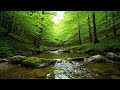 🎧 INSTANT CALM! 3 HOURS of Deep Relaxing Music | Study Focus & Sleep Aid Delta Waves