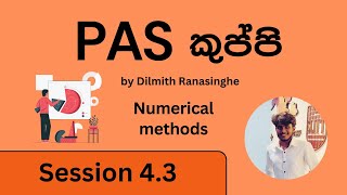 PAS kuppi session 4.3 - Numerical Methods