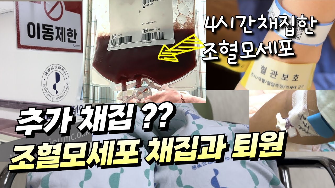 추가채집을 한다구요? 4시간 조혈모세포 채집과 퇴원! 그리고 회복검사