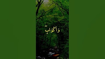 ﴿الَّذينَ آمَنوا بِآياتِنا وَكانوا مُسلِمينَ﴾ #ياسر_الدوسري