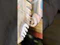 restoration drill bit with induction system #shorts