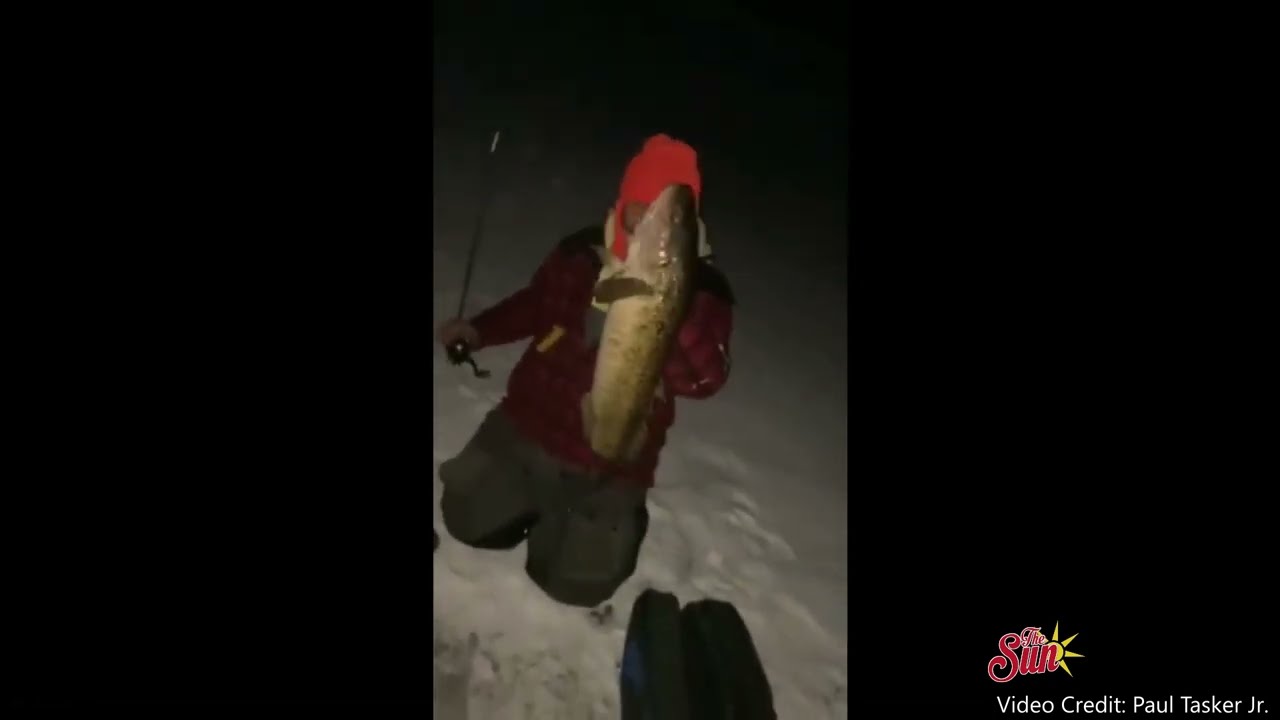 New Hampshire man catches state record breaking cusk!