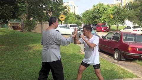 Tai chi secret movements - free push hands, sparring and striking