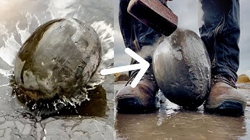 Dinosaur Hunter Examines HUGE Limestone Rock For Fossil! 🦕🥚 | Fossil Hunter