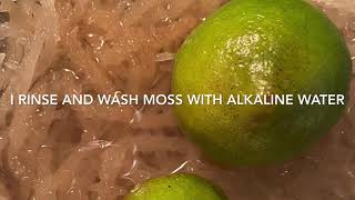 How to make Sea Moss. The benefits for Libido Sexual Health