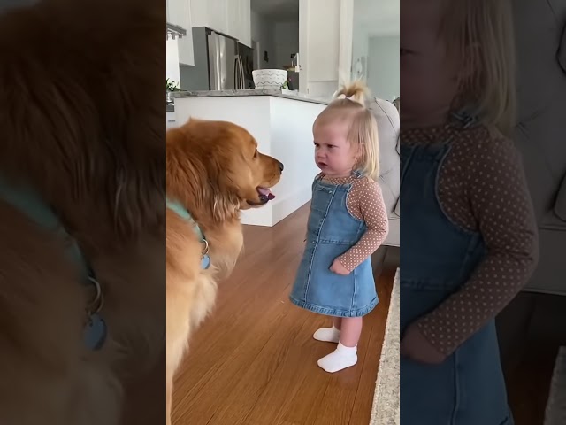 #funny #dog #cat #pets #cute #animals #funnycats #love