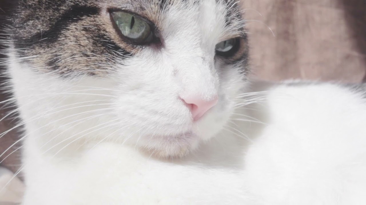 Emotional Decluttering Hacks for Minimalism Beginners