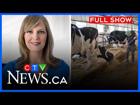Quebec braces for incoming U.S. tariffs | CTV News Montreal at Six for Saturday, Aug. 15, 2026