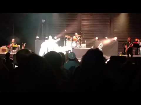 Hank Jr (live): Dixie On My Mind