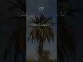 ومكروا ومكر الله والله خير الماكرين القارئ احمد النفيس 