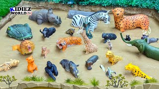 Jungle Rescue: Saving African Jungle Animals Stuck in Mud! Rhino, Hippo, Lion, Tiger, Zebra