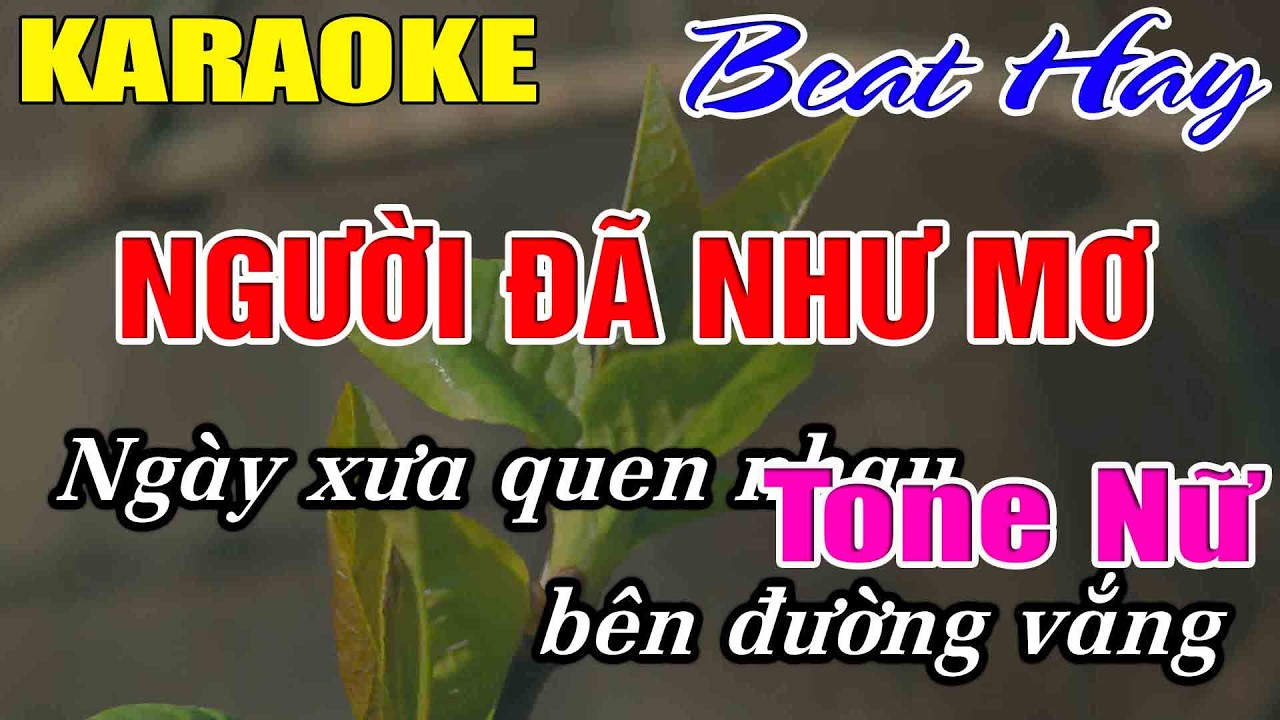 Người Đã Như Mơ Karaoke Tone Nữ Karaoke Hải Nhạc Sống 2026 - Beat Mới