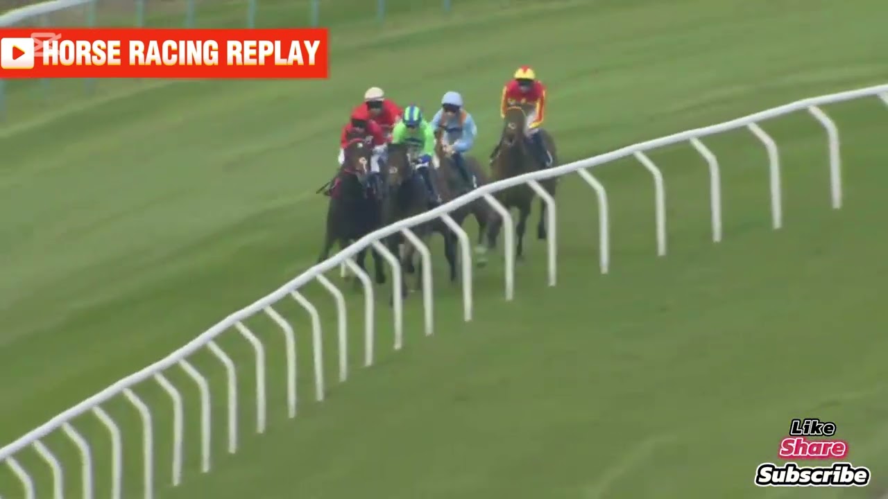 Rogue Bullet / 1 Race Brighton 12 Apr 2025