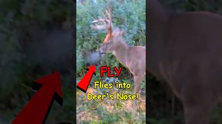 I think We can All Relate #hunting #deerhunting #deer